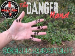 Danger Scene Assessment