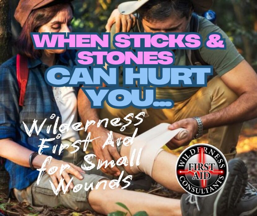 Wilderness First Aid for Small Wounds