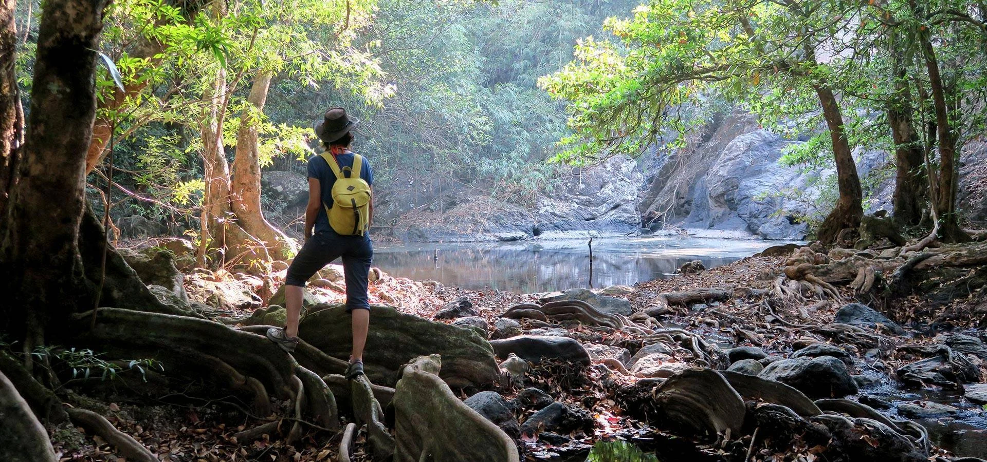 Wilderness First Aid Consultants